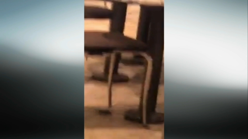 Mice Take Over King Of Prussia Mall Food Court Abc7chicago Com