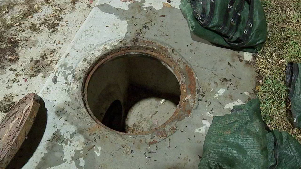 Woman rescues trapped cat from manhole in Museum District
