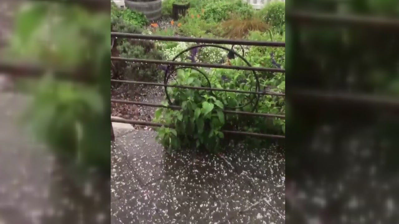 North Bay pelted by hail during 'Significant Weather Warning'