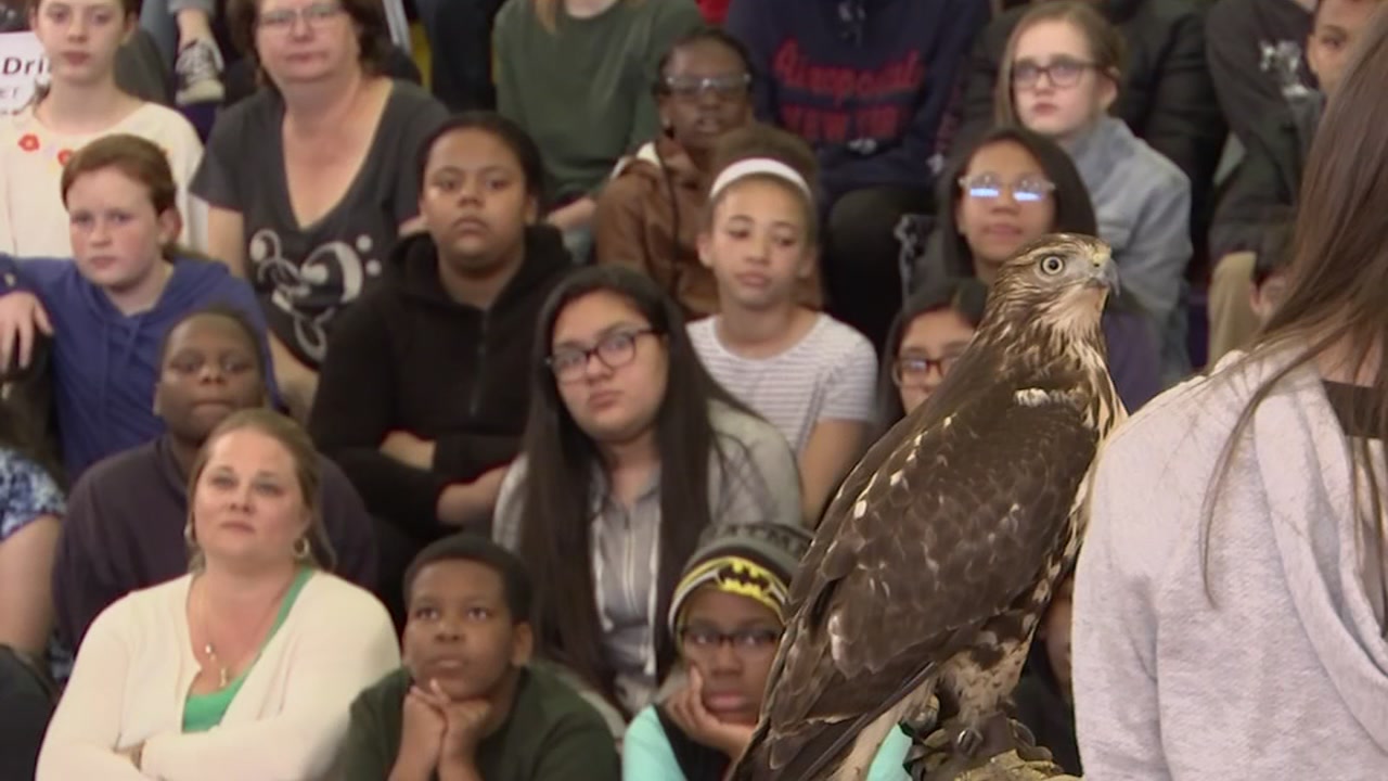 Students get a close look at falconry