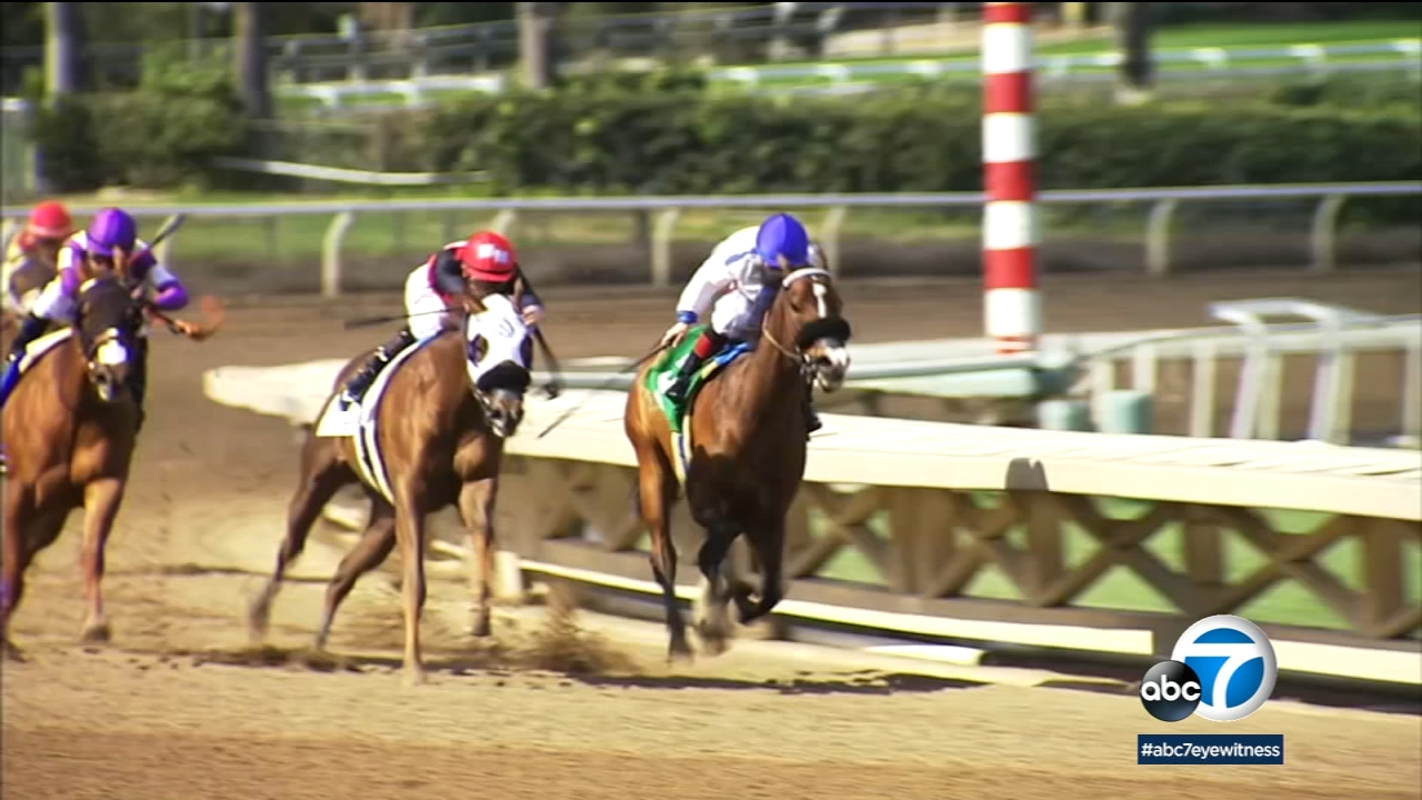 Whipping to be restricted in California horse races