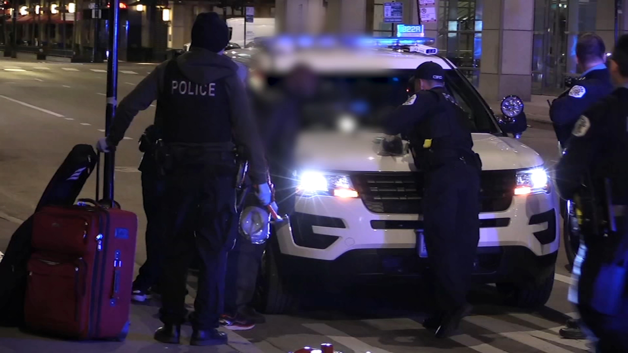 1 arrested after hammer attack on CTA Red Line