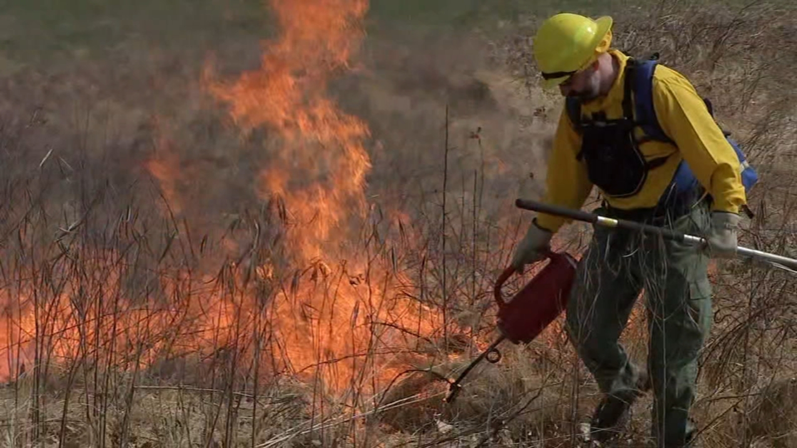 Controlled Burn Torches 100 Acres of Valley Park 6abc Philadelphia