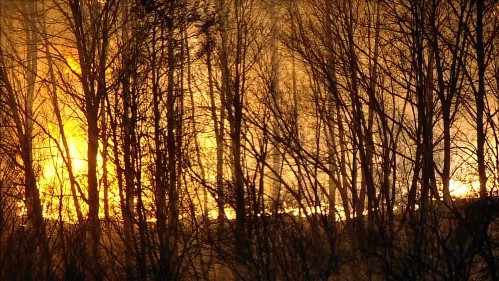 Crews battling brush fire at Fort Dix in Burlington County, New Jersey
