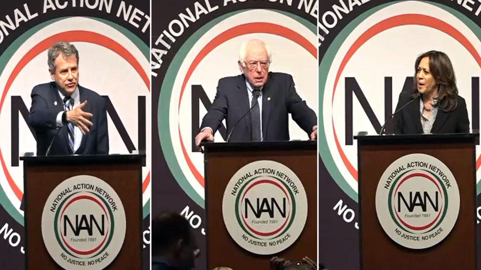Democrats running for president address National Action Network