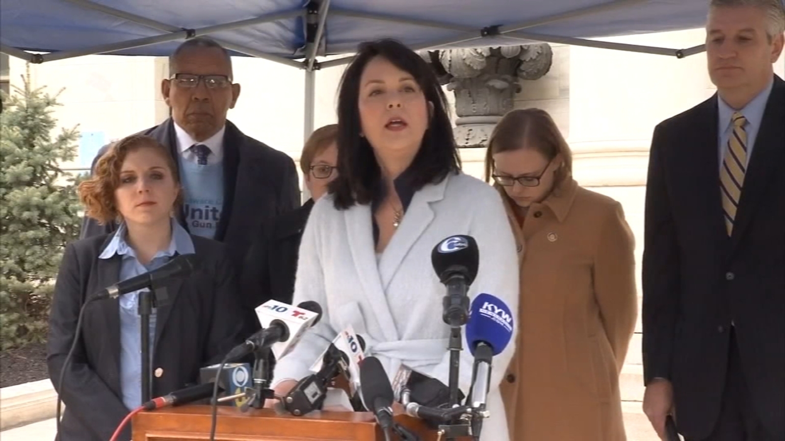 Delaware County Lawmakers Call To Remove Guns from 'Dangerous