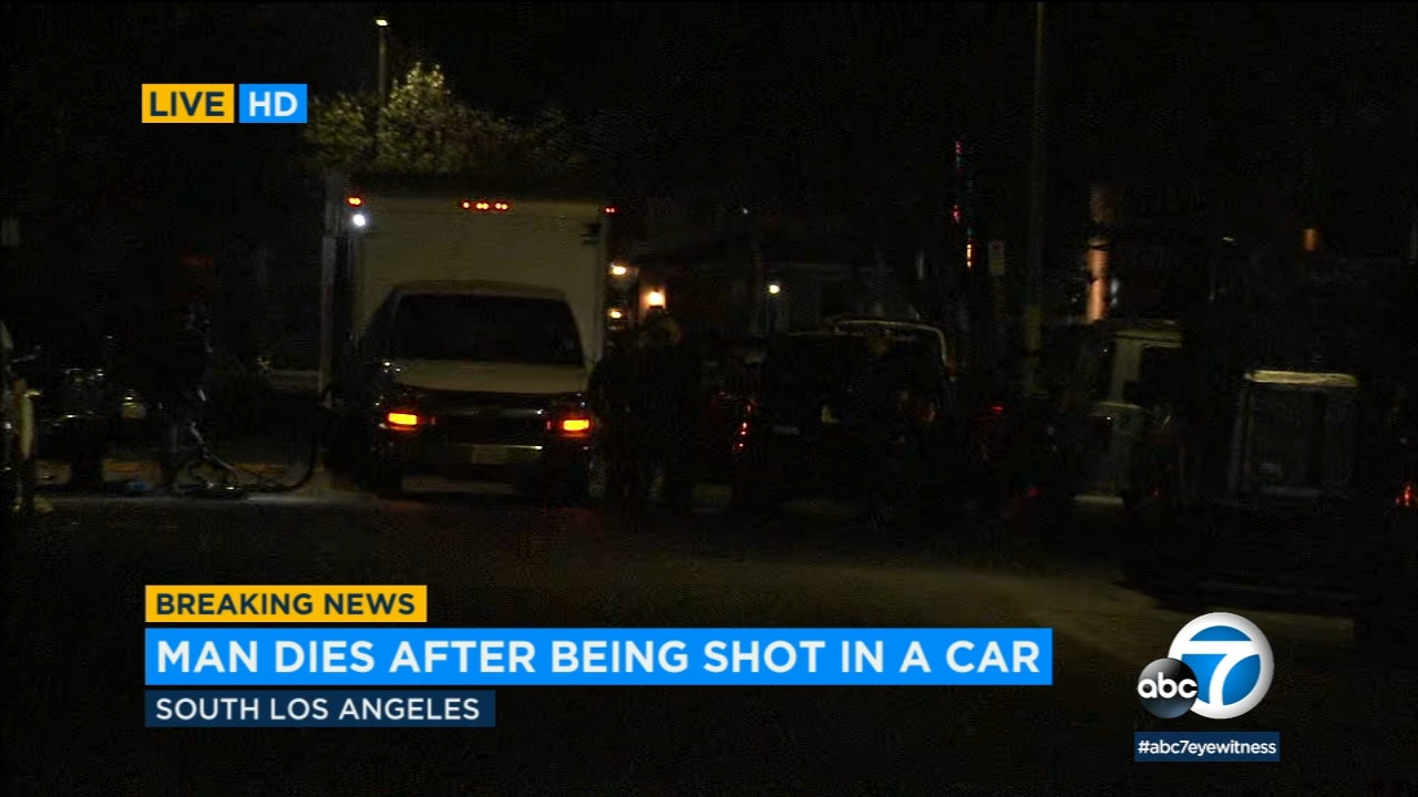 Man dies after being shot in car in South LA