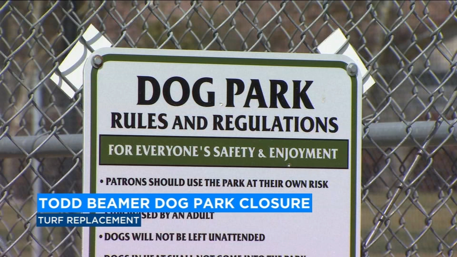 Popular Fresno dog park shut for a month ABC30 Fresno