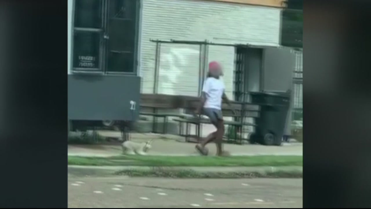 Constable's office investigating who was dragging puppy by the leash.