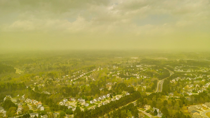 Nc Pollen Photographer Captures Pollenpocalypse Over Durham Abc11 Raleigh Durham