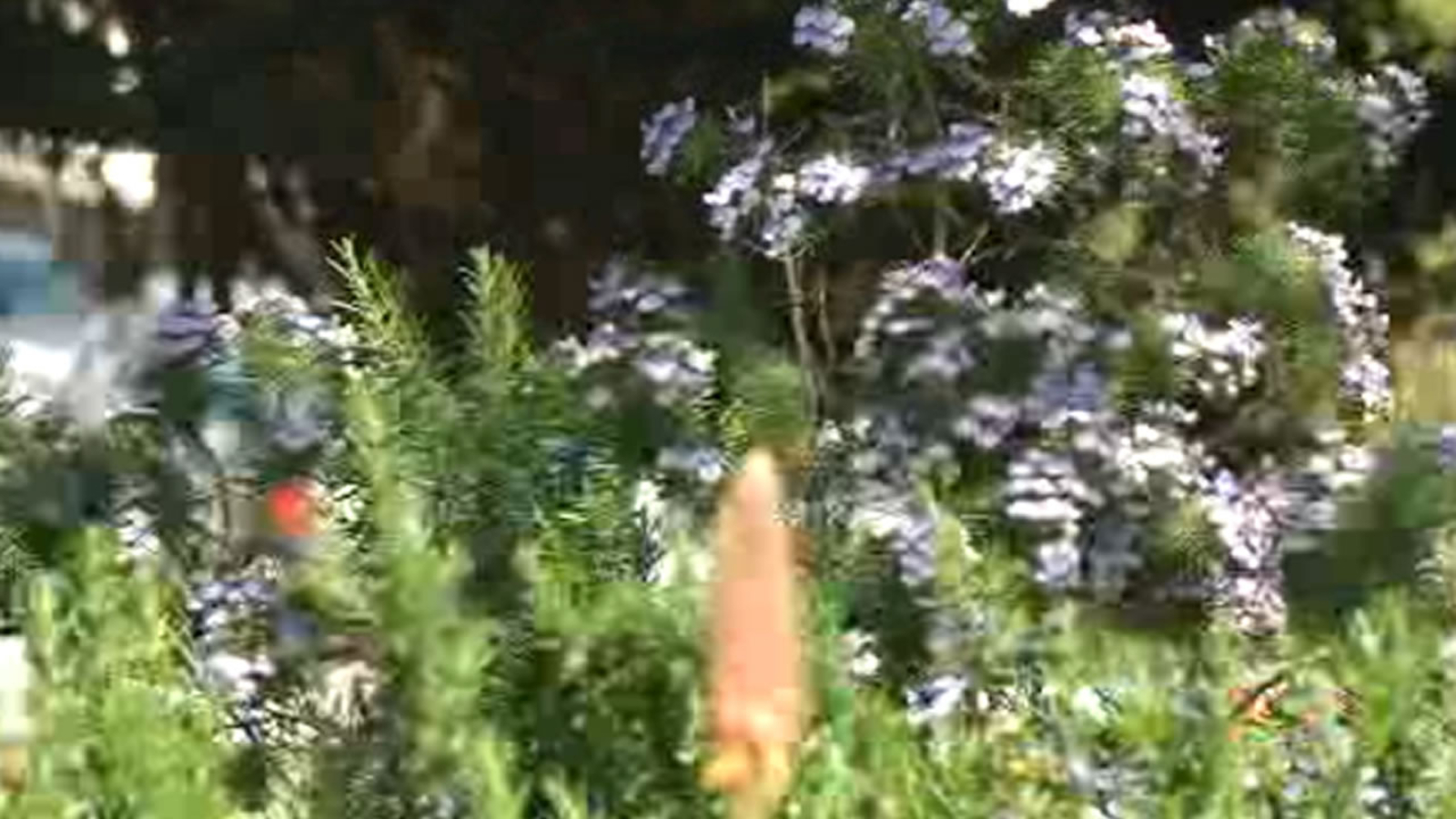 Warm weather, no rain in forecast could make things worse for Bay Area