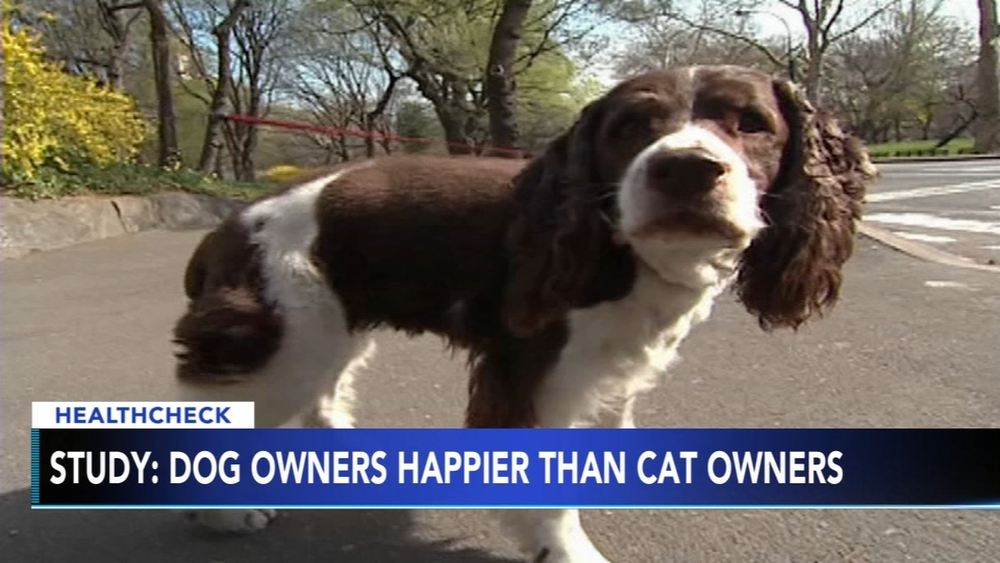 Dog owners are happier than cat owners, study finds