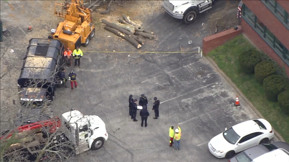 Person shocked while working on tree in Lower Merion