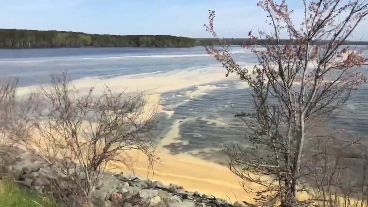 Jordan Lake turns yellow as pollen nears record highs