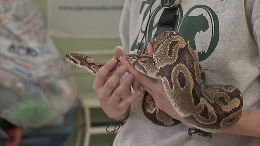 Zoo on Wheels visits Clark School