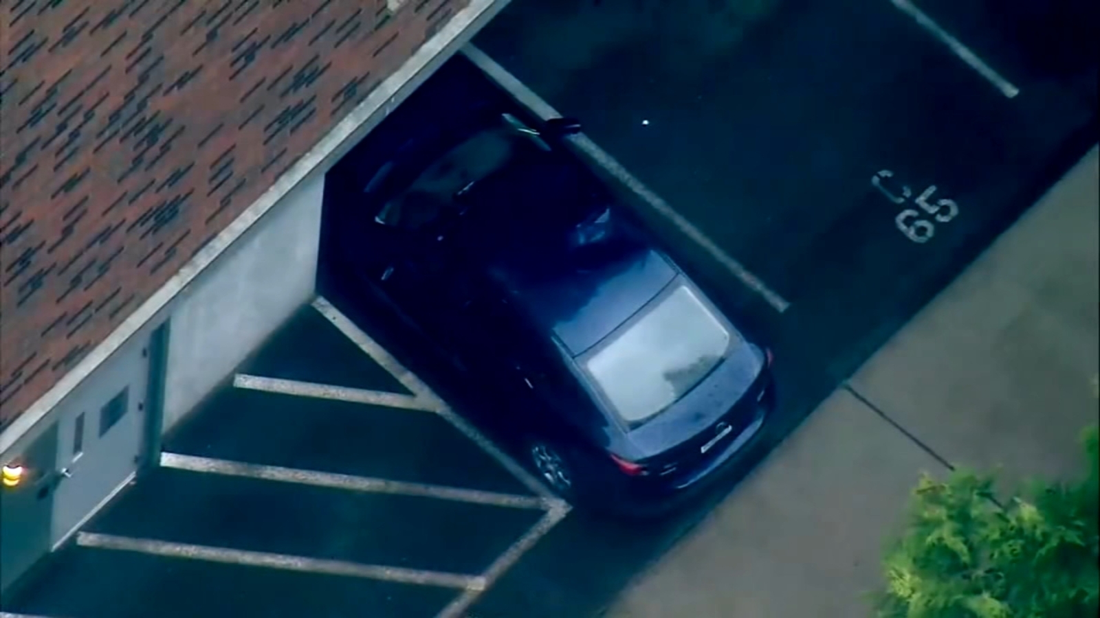 Toddler miraculously survives 6story fall landing on car ABC7 Chicago