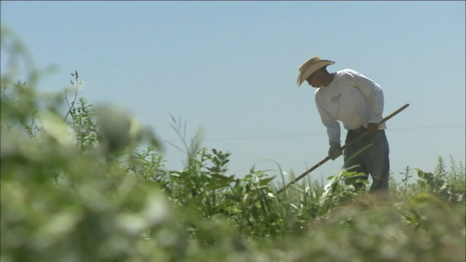 Farm Supervisors Trained On How To Protect Outdoor Workers As Temperatures Rise ABC30 Fresno
