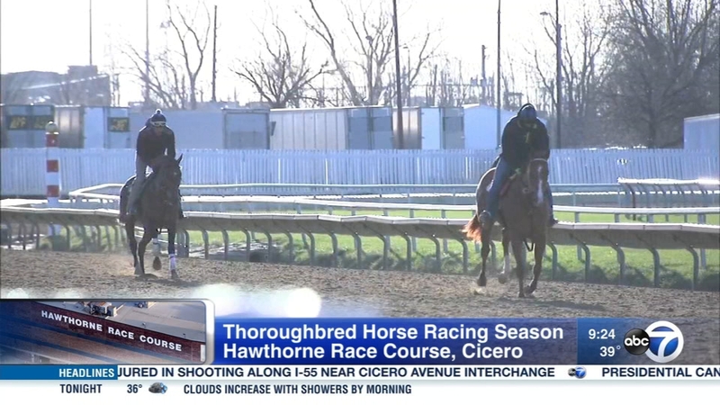 hawthorne race course entries