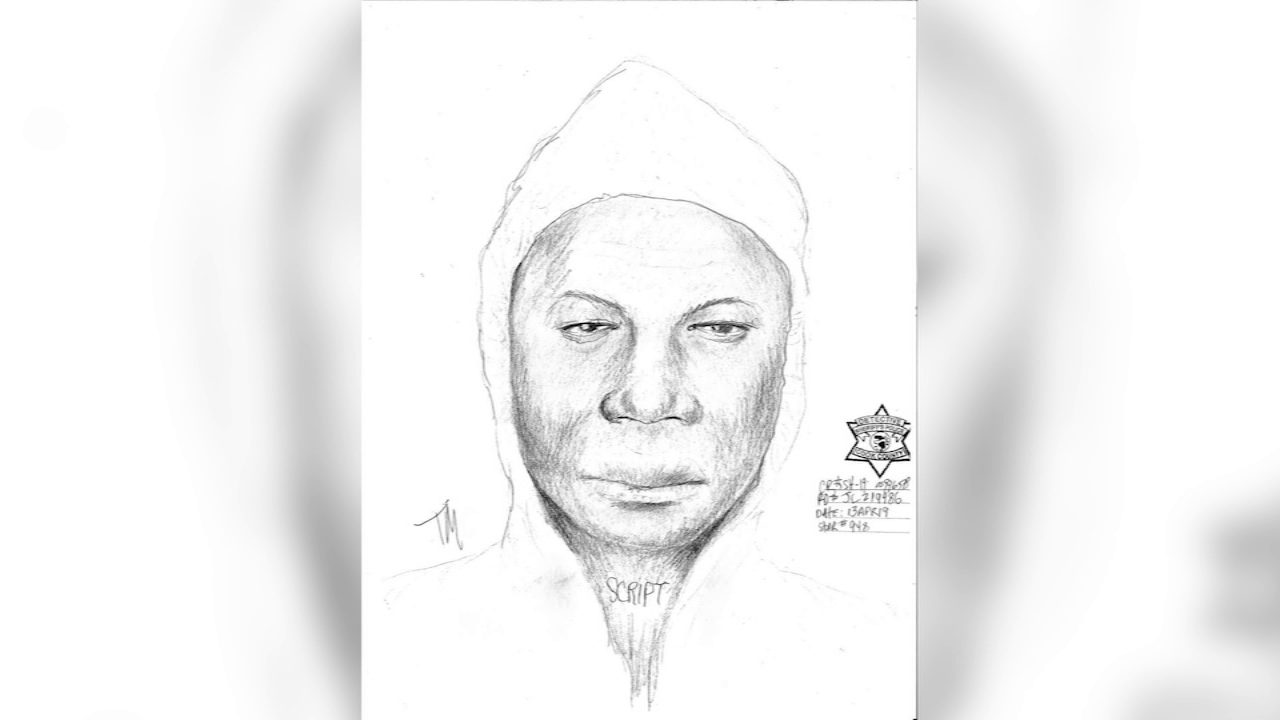 Police release sketch of suspect after attempted abduction on South Side