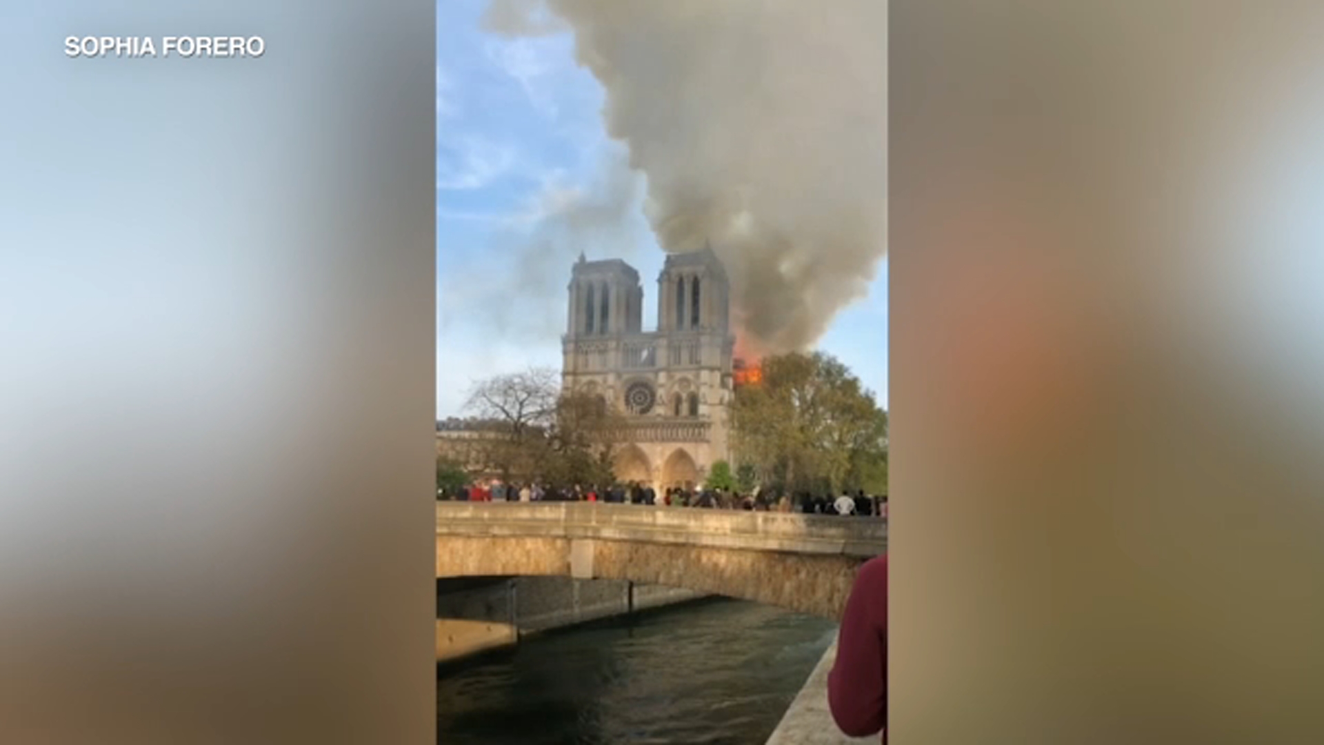 Naperville woman witnesses Notre Dame blaze: 'I was moved to tears'