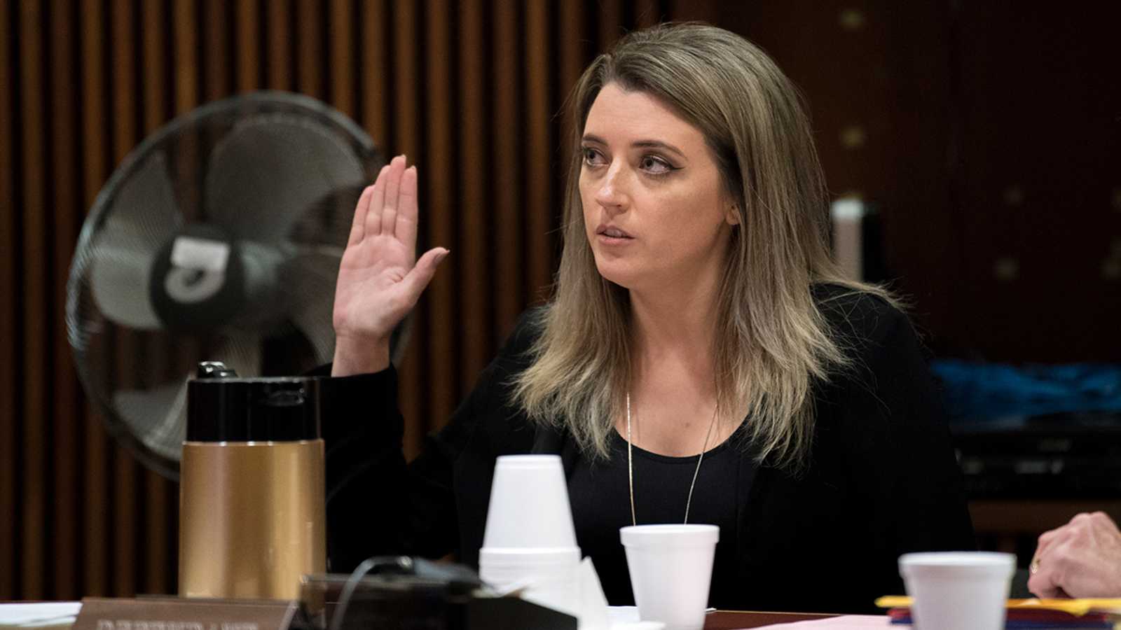 New Jersey woman pleads guilty to GoFundMe scam involving homeless man ...