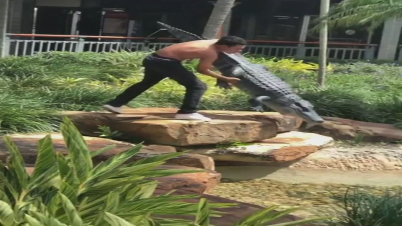 Shirtless teen arrested after wrestling fake alligator