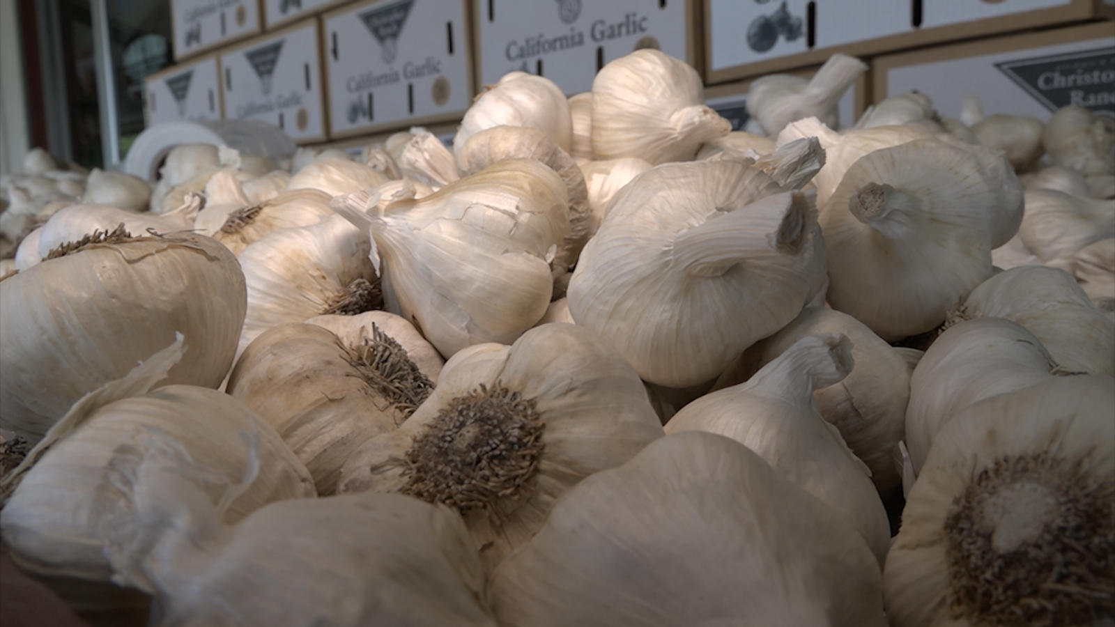 NATIONAL GARLIC DAY Garlic ice cream and cookies? We put them to the