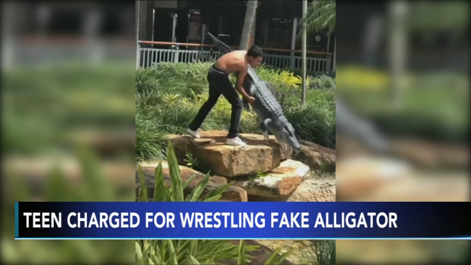 Teen arrested after wrestling fake alligator in Florida - 6abc Philadelphia