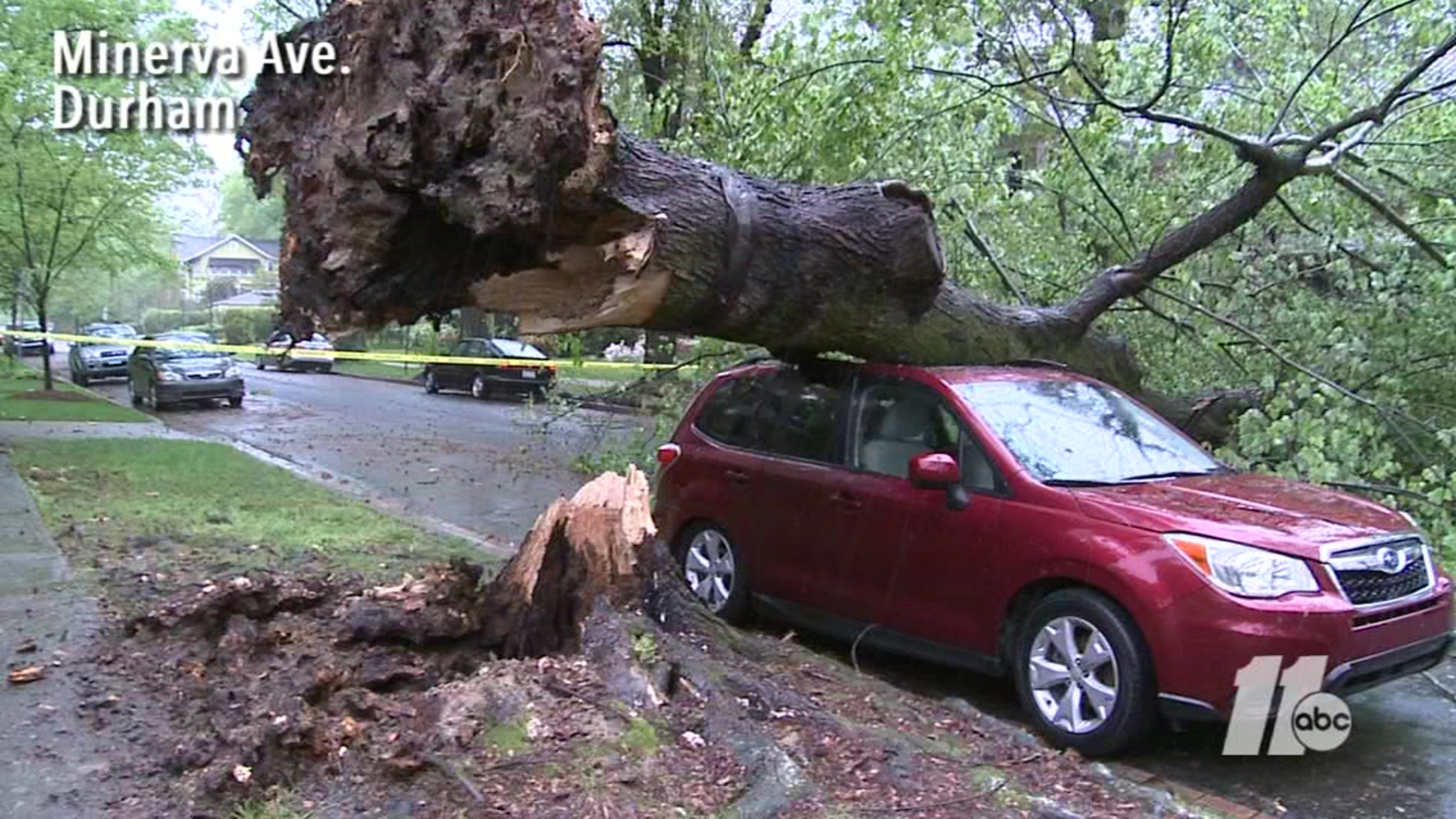 Storms take down trees in Durham neighborhoods ABC11 RaleighDurham