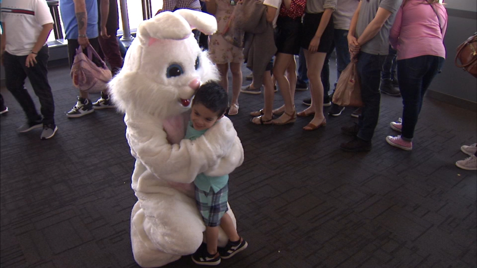 Easter Bunny makes special appearance at Willis Tower Skydeck Chicago ABC7 Chicago