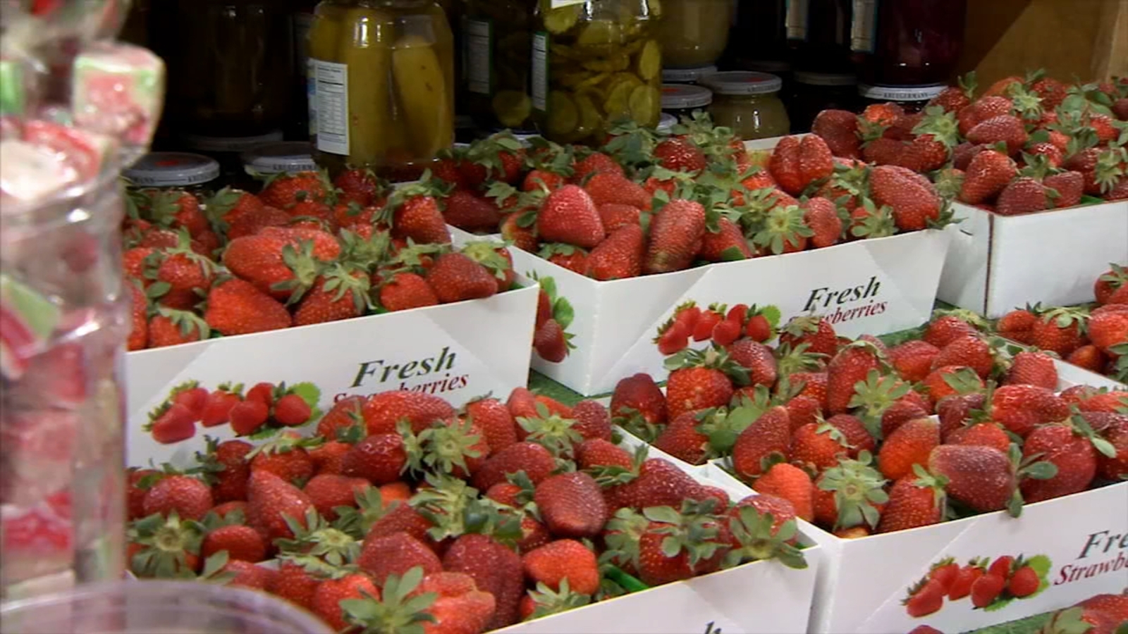 Strawberries are ready for harvest in Fresno County ABC30 Fresno