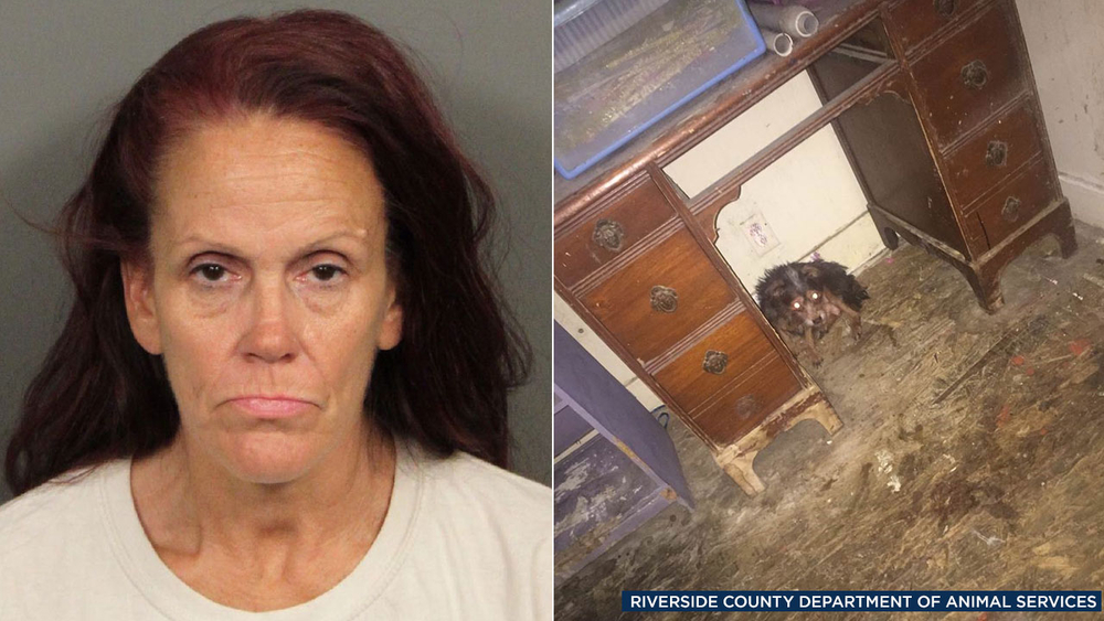 Photos show inside of Coachella puppy dump suspect's home