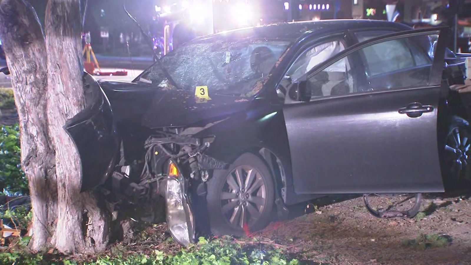 Man deliberately drove into crowd in Sunnyvale, California; 8 injured