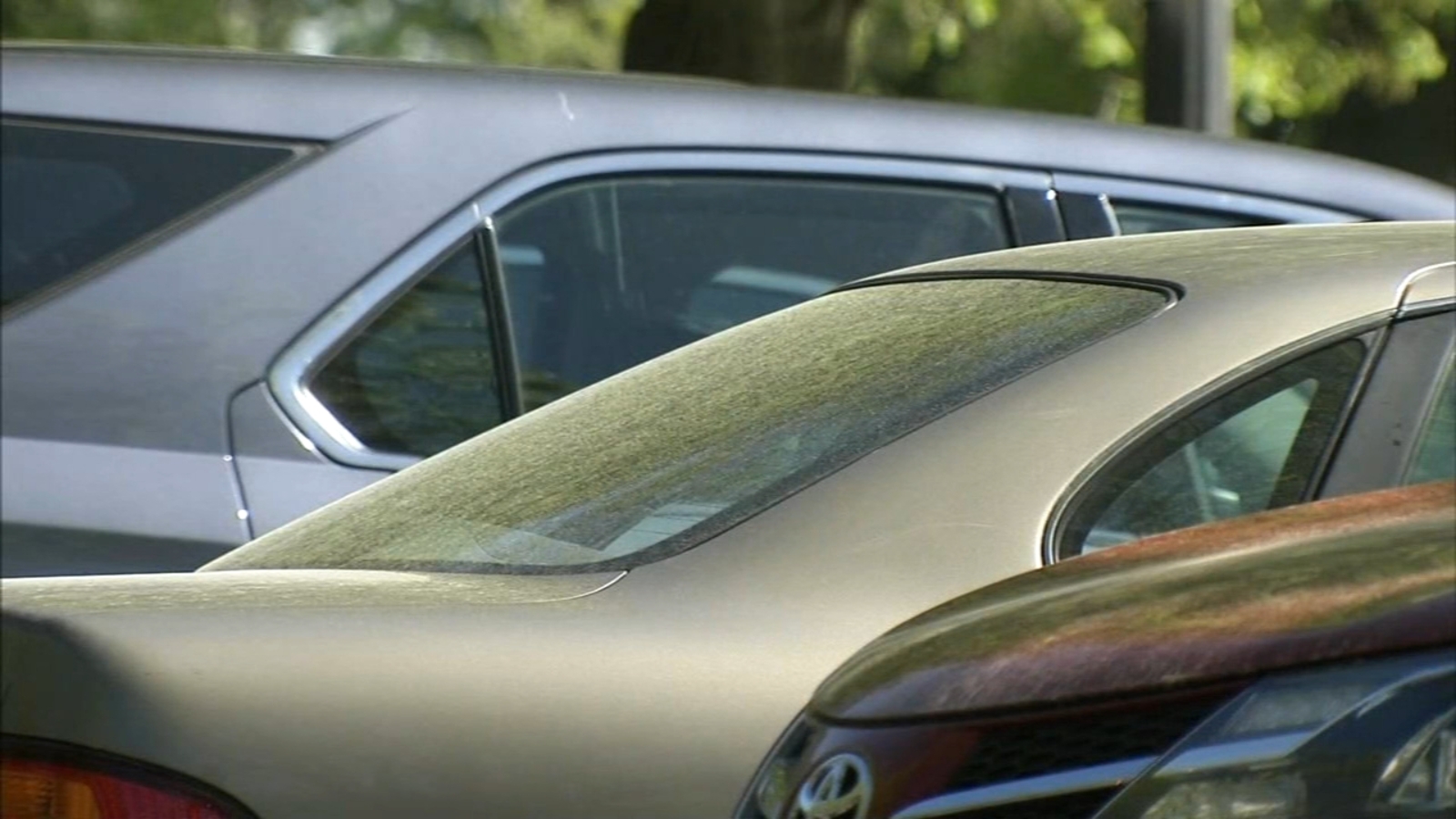 'Extreme' tree pollen levels are hitting allergy sufferers 6abc