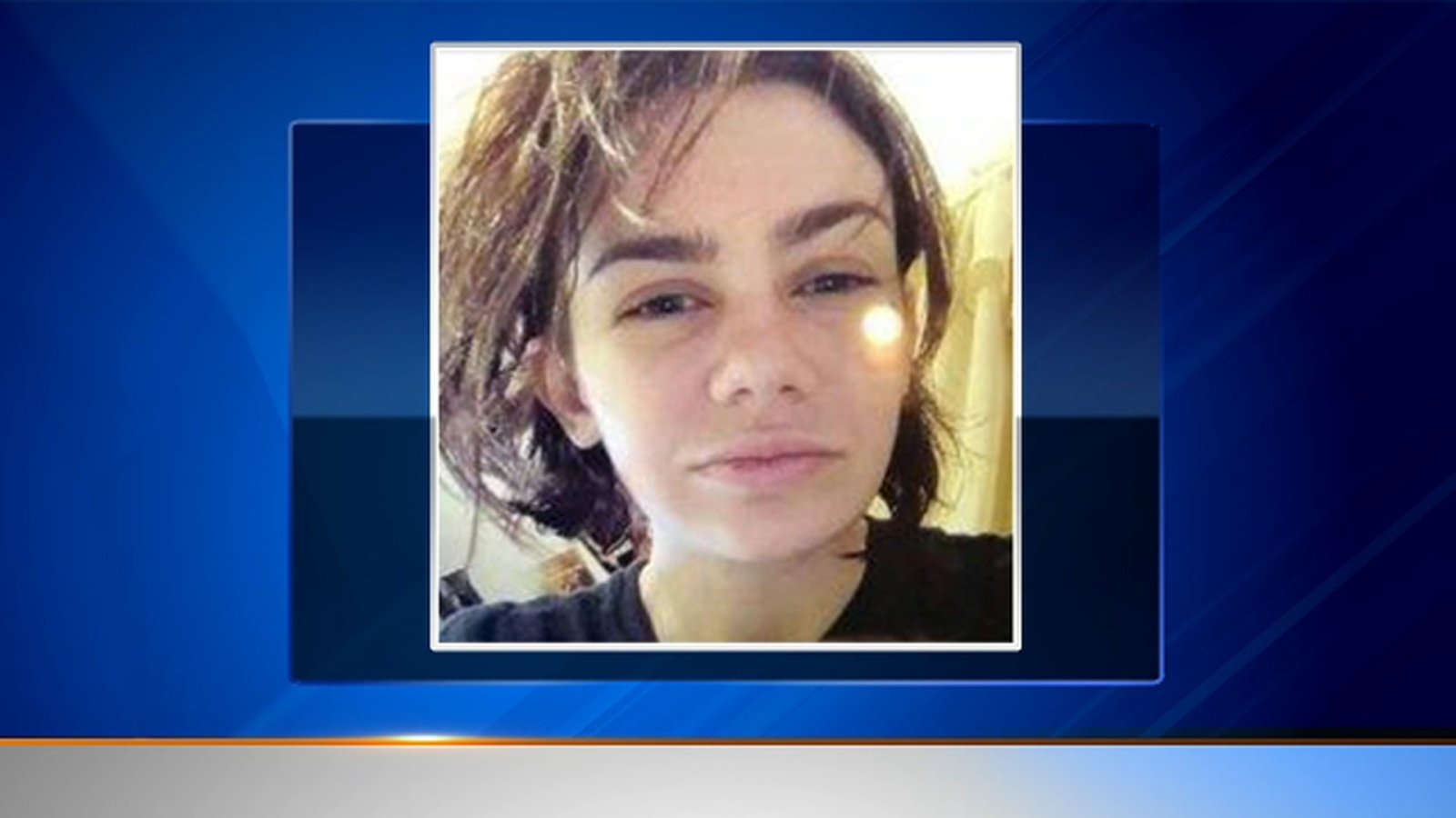 Pregnant woman, 4 children missing from Aurora located ABC7 Chicago(01)