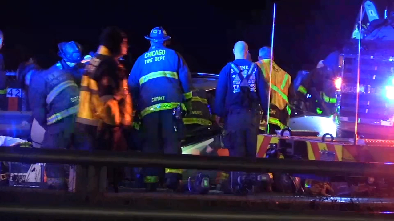 Man killed in Lake Shore Drive crash