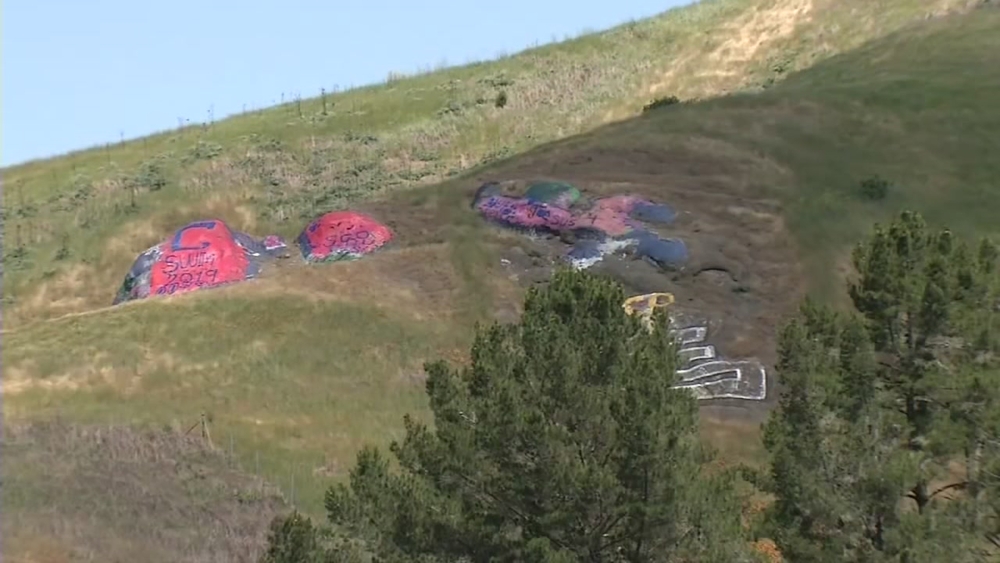 Group needs $200k to save East Bay's beloved 'Painted Rock'