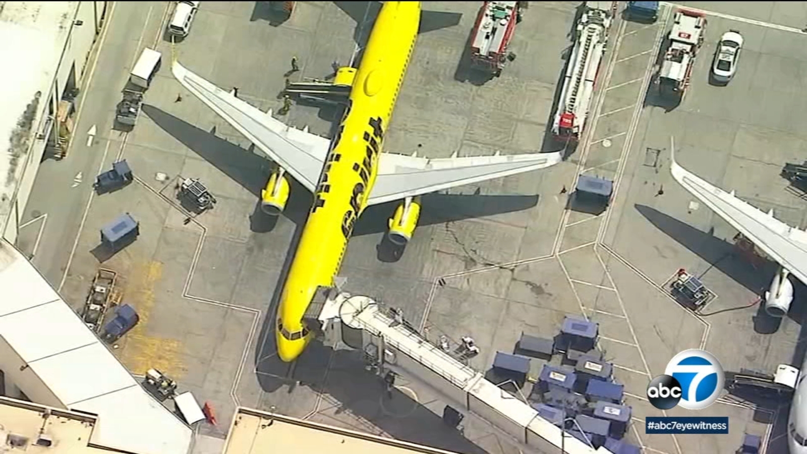 Mysterious Odor Forces Spirit Airlines Flight To Return To Lax