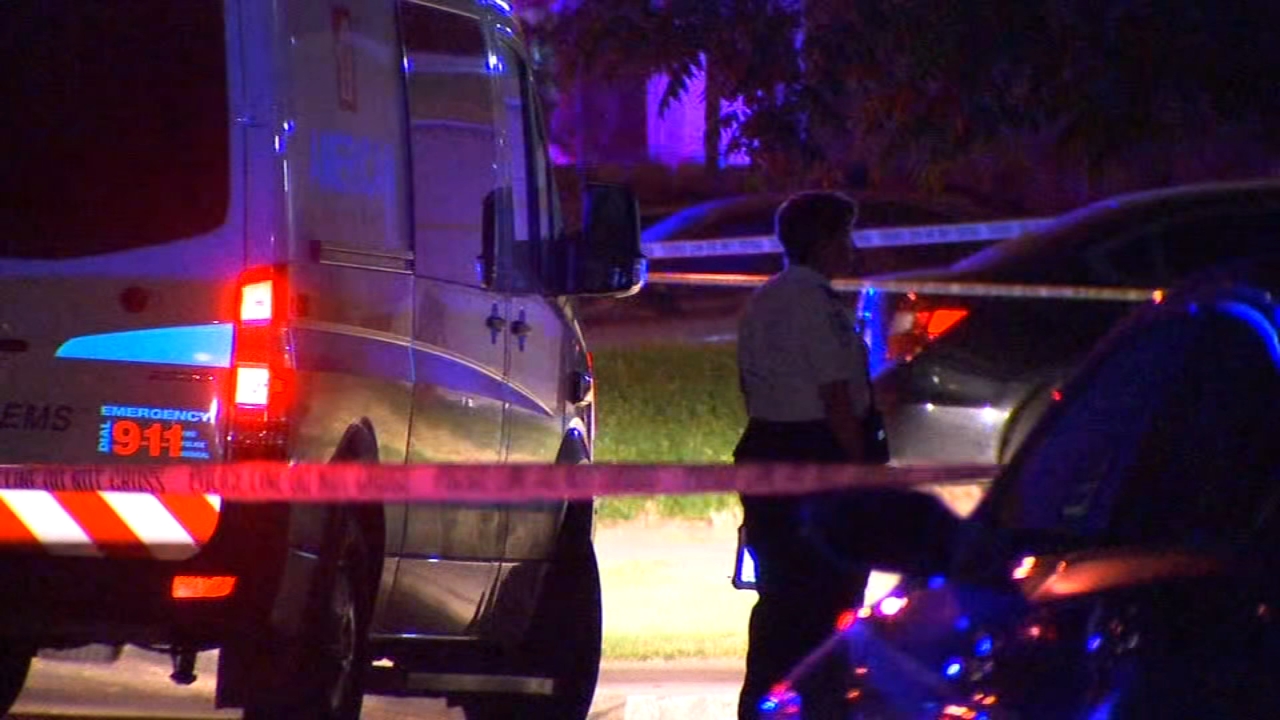 Man who shot and killed stepson did it to defend his wife, police say