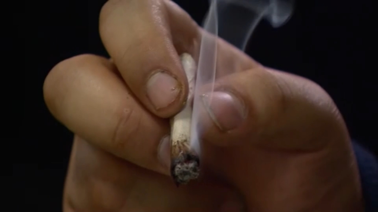 Medical pot dispensary opening in Morton, Pa.