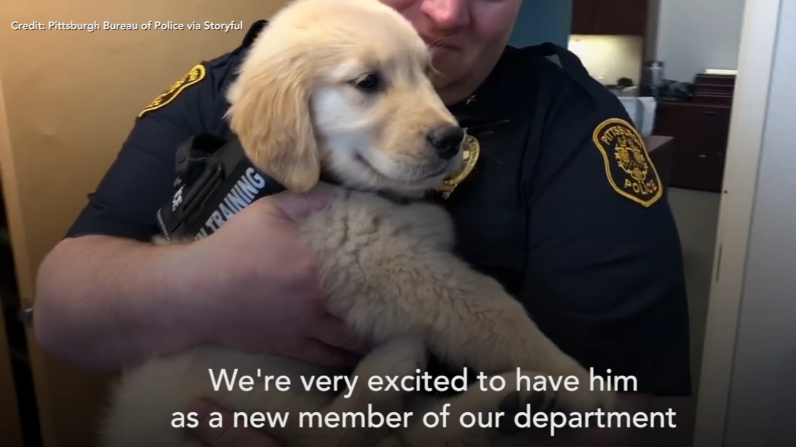 Police department in PA new comfort dog 6abc Philadelphia