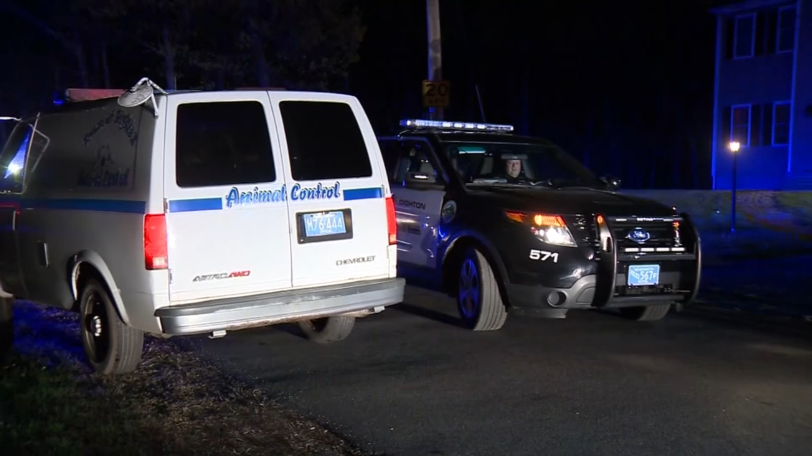Teen mauled to death by dogs he often cared for, authorities say - ABC7 ...