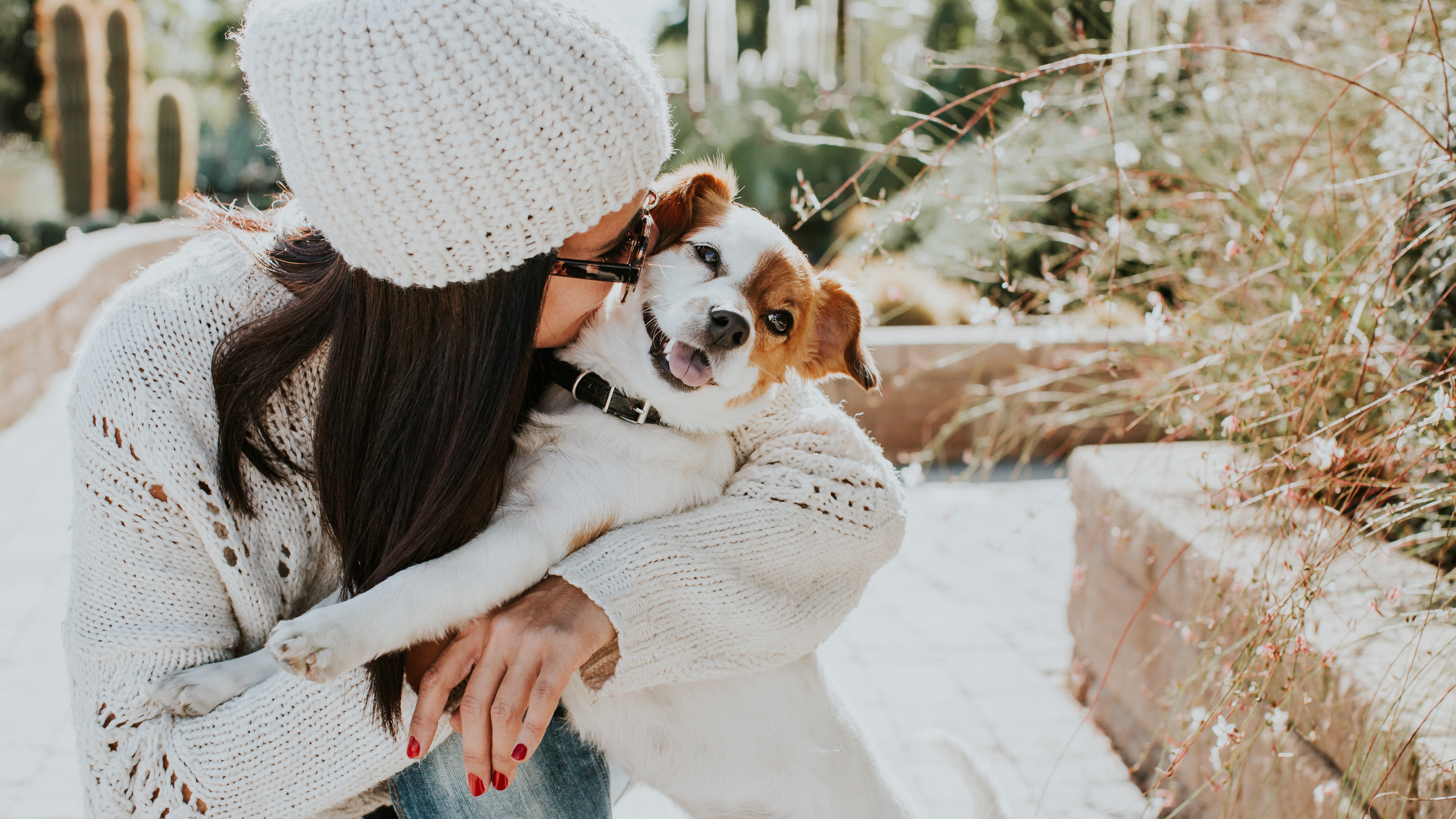 Dog disease that can be passed to humans confirmed in Iowa