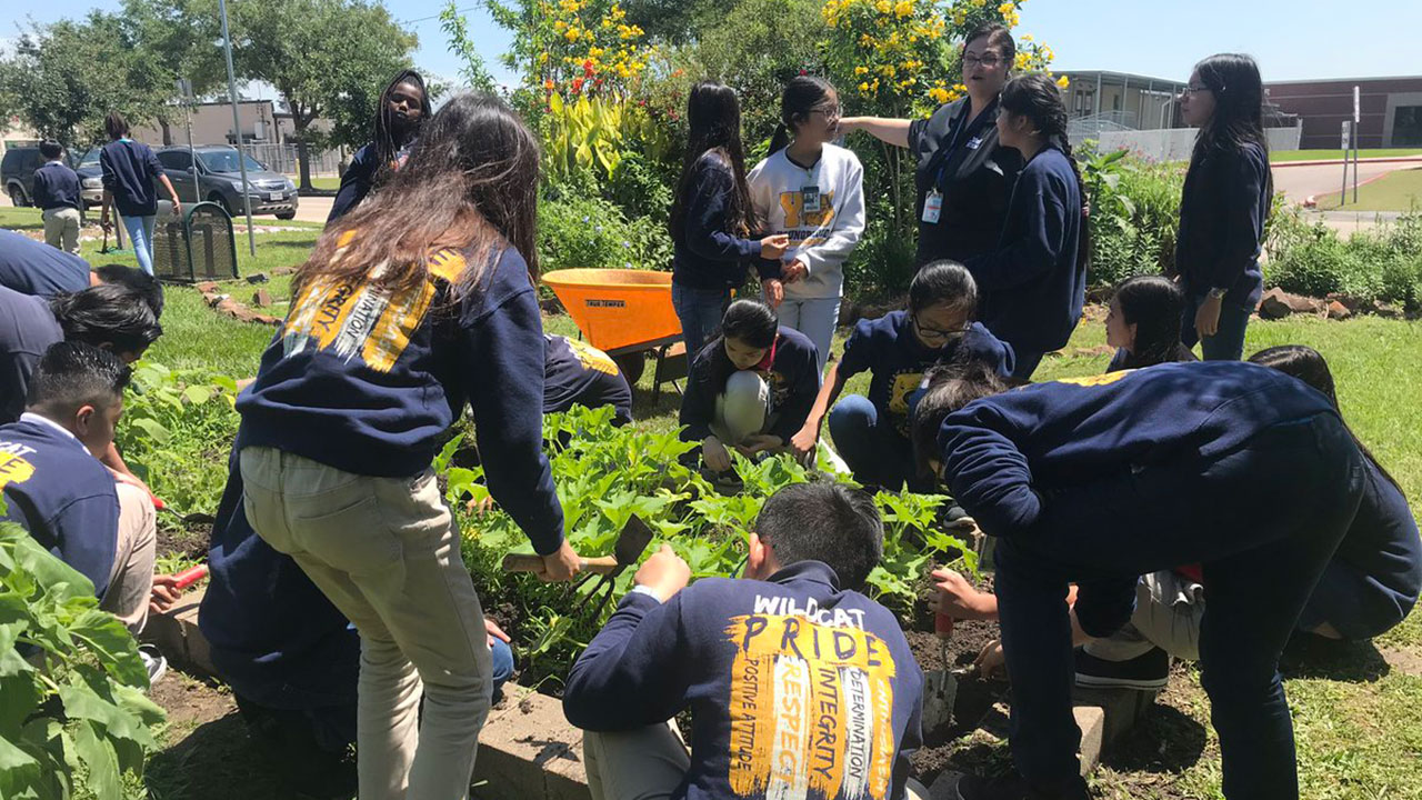 Alief Community Garden presents a 'little United Nations'