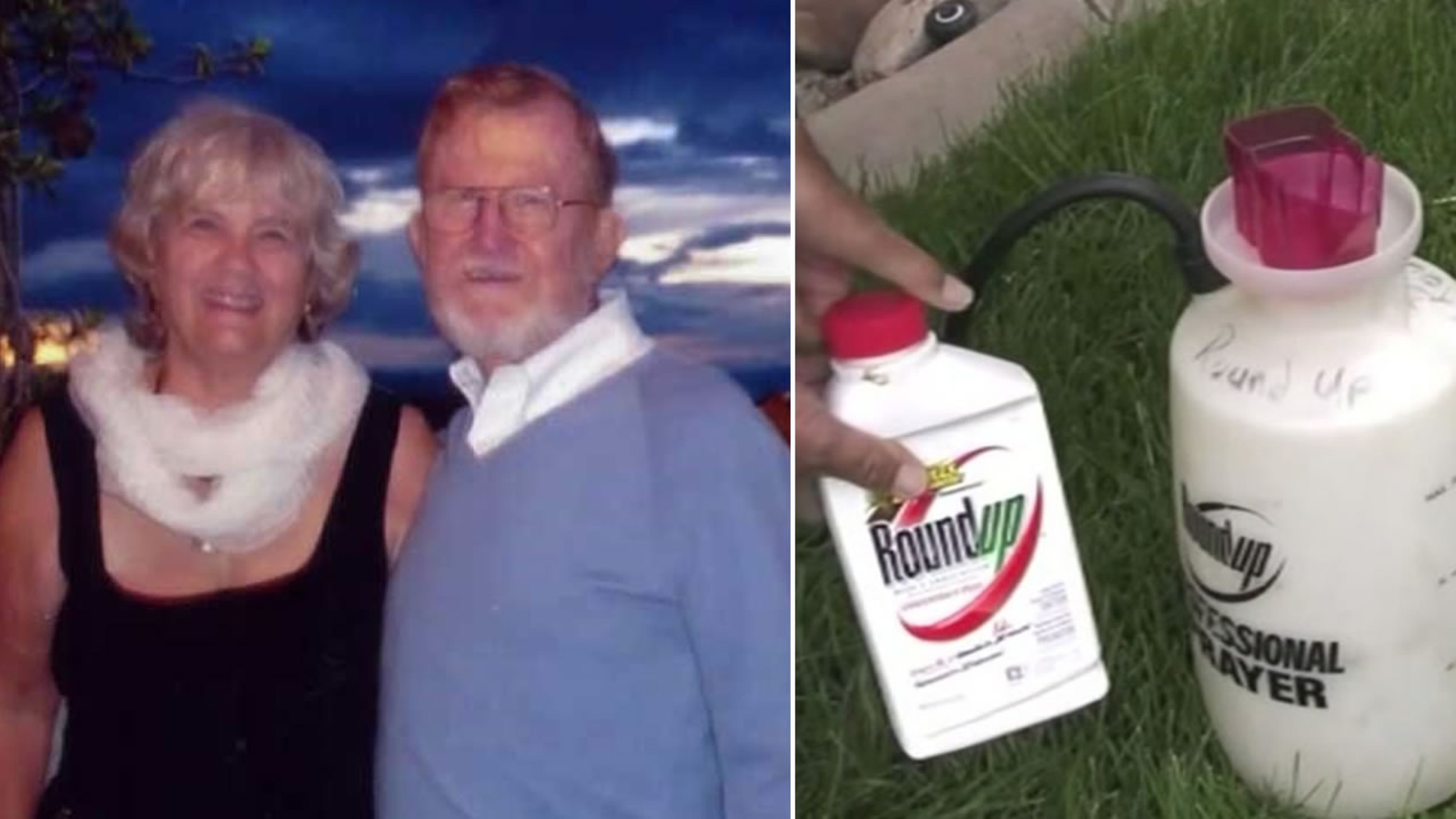 Can Hot Dogs Give You Cancer