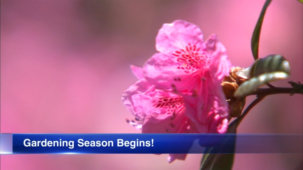 Planting advice from Chalet Nursery as gardening season begins