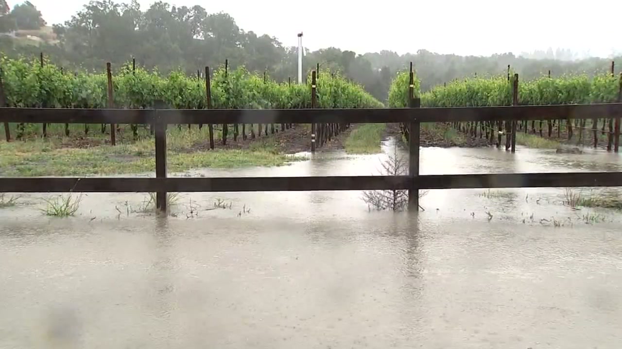May rain disrupts baseball, grape-growing in North Bay