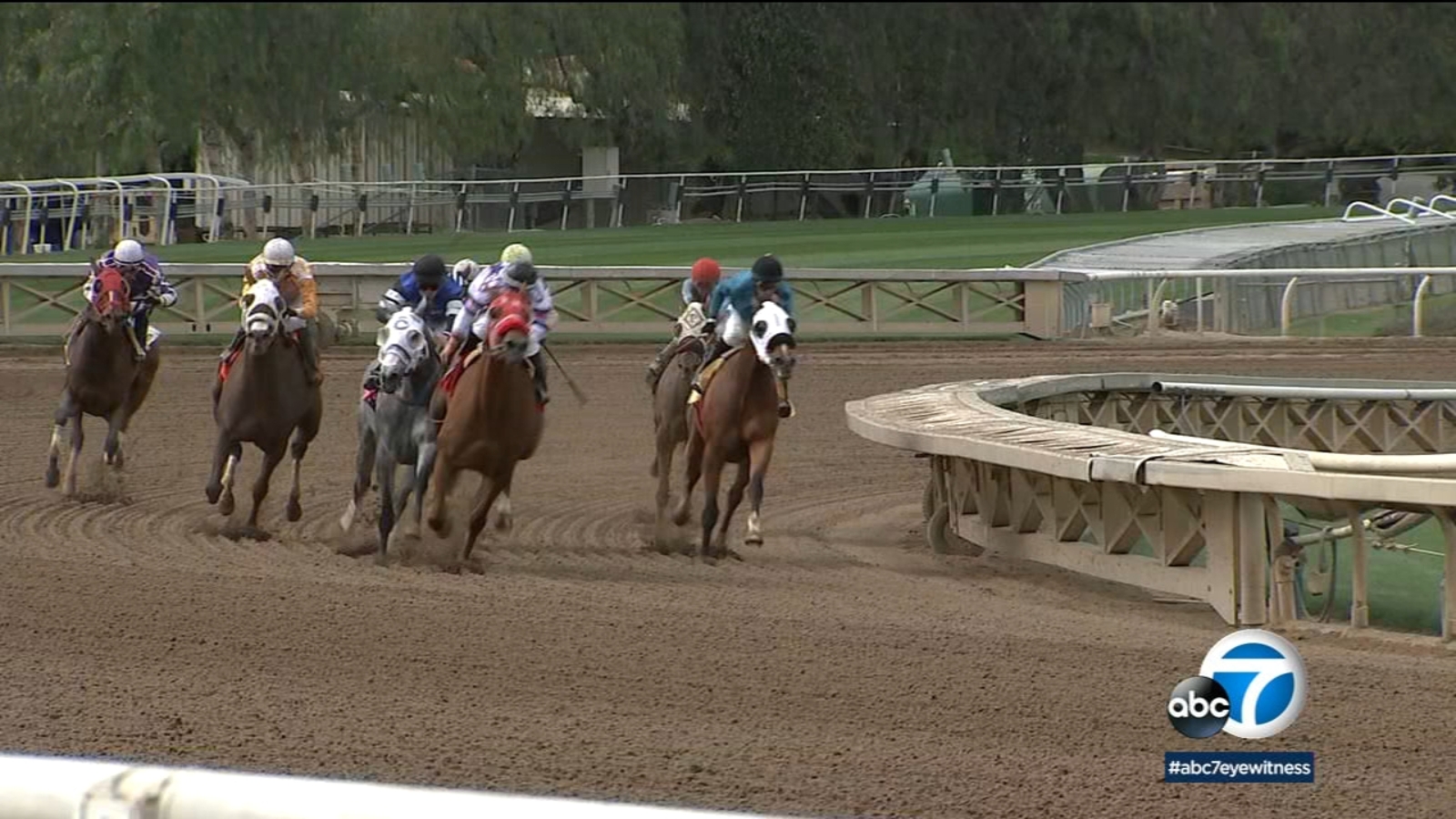 24th horse dies at Santa Anita Park ABC7 Los Angeles