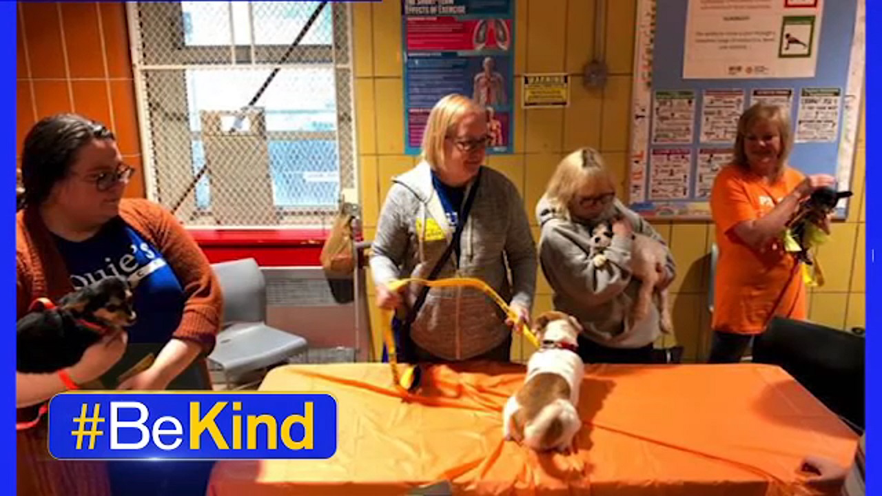 Staten Island students 'go orange' for animals
