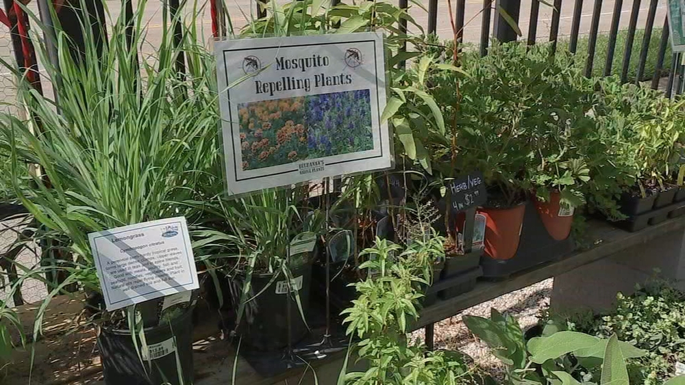 potting indoor plants 100% Organic Indoor Plant Potting Soil Mix  Nutrient Rich, Well-Drain   Houseplant Resource Center